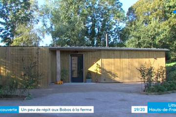 JT France 3