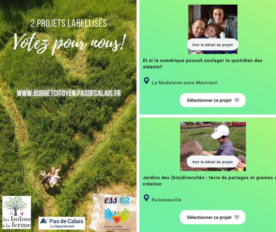 Budget-citoyen-2020